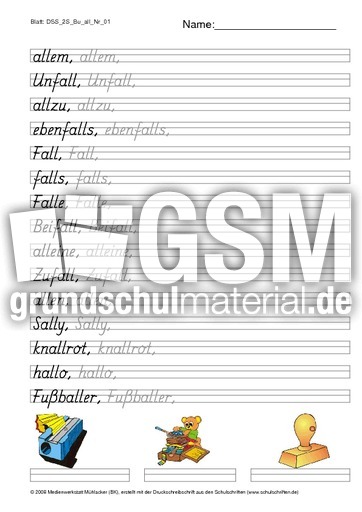 DSS_2S_Bu_all_Nr_01.pdf